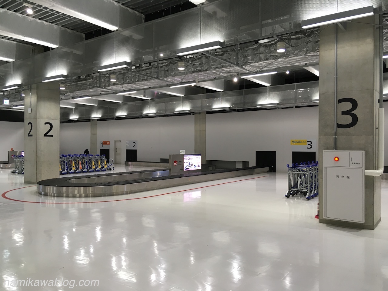 成田空港第3ターミナル国内線手荷物受取所・出口側から撮影